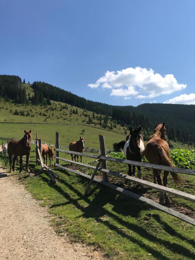 Вілла Софі Верховина Экстерьер фото